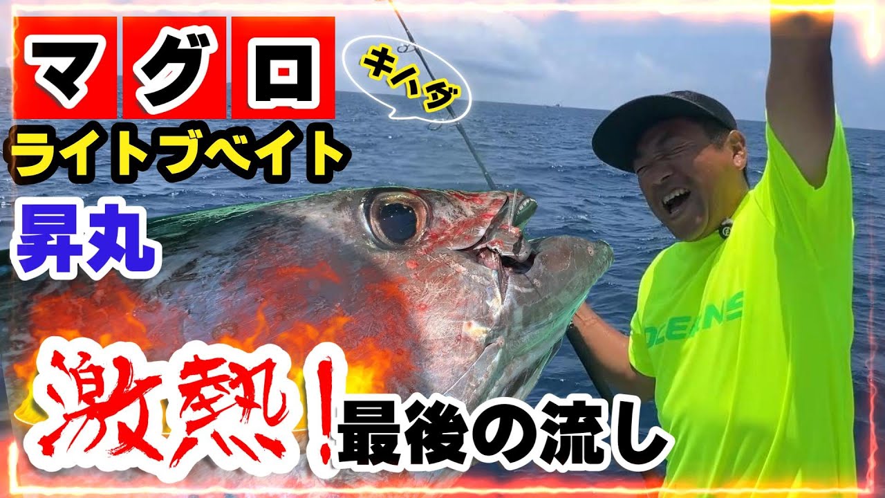 【昇丸】ライブベイト　マグロ(キハダ)を狙う　激熱!最後の流し