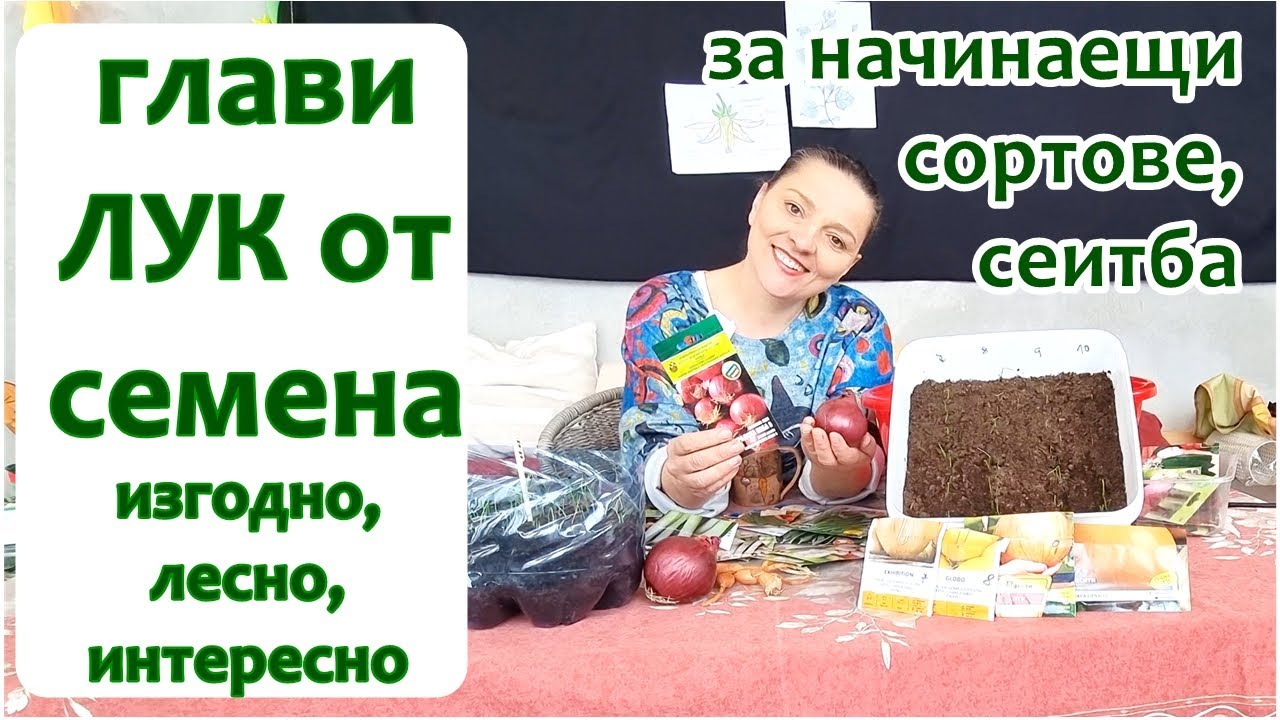 Лук от семена за глави за 1 сезон. Изгодно, лесно дори за начинаещи, интересно!