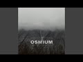 Os Fragm. Anhedonia