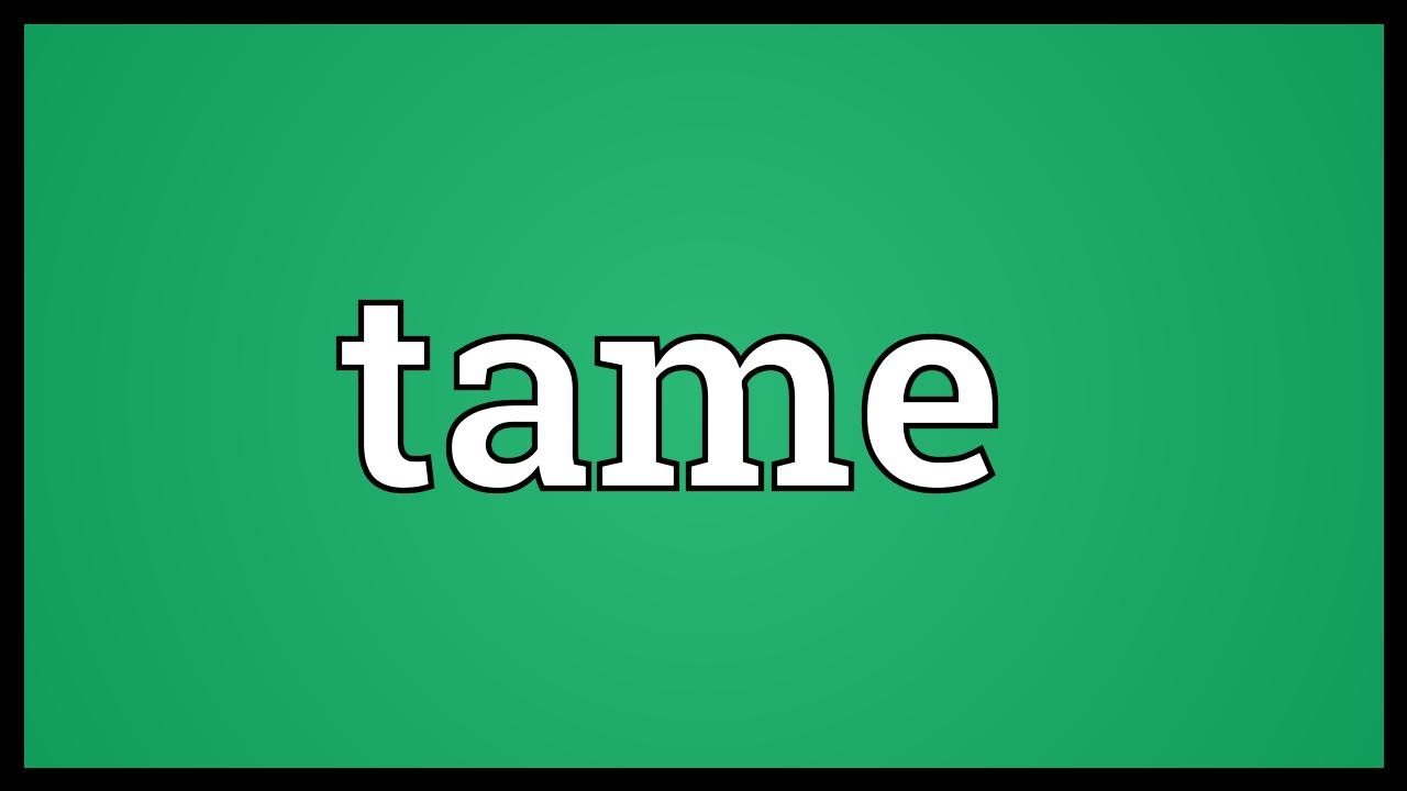 Tame Meaning
