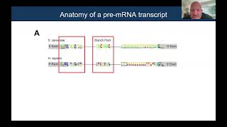 Famous OpenASO: Designing Splice-modulating Antisense Oligonucleotides - Jeremy Sanford Profile