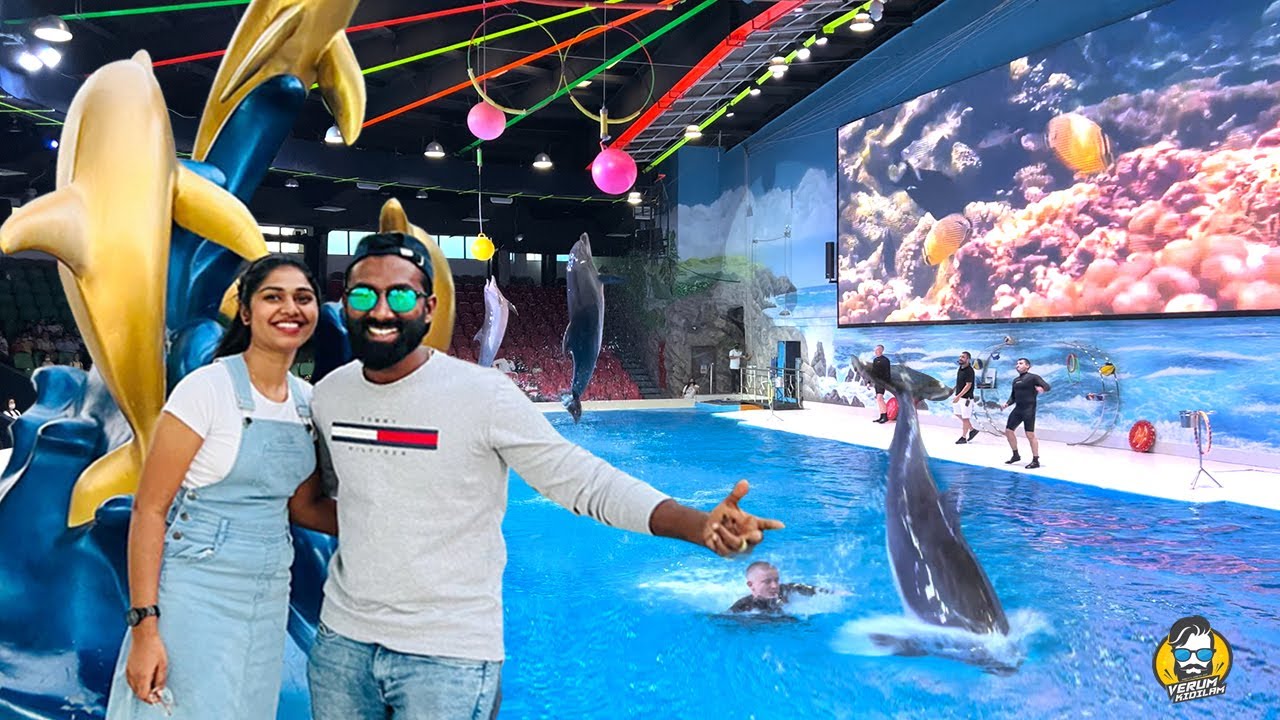 Dolphin & Seal Show| Watch And Get 25% Discount At Dubai Dolphinarium 