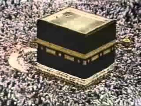 إلى رحاب اليثرب