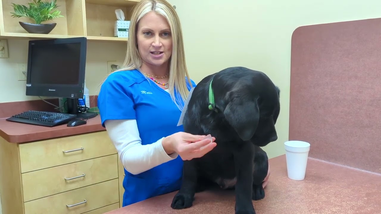 15 Weeks: Padfoot's Puppy Growth Chart