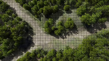 Animated Battlemap - Forest Path 1 (Day) - 43x24 Grid