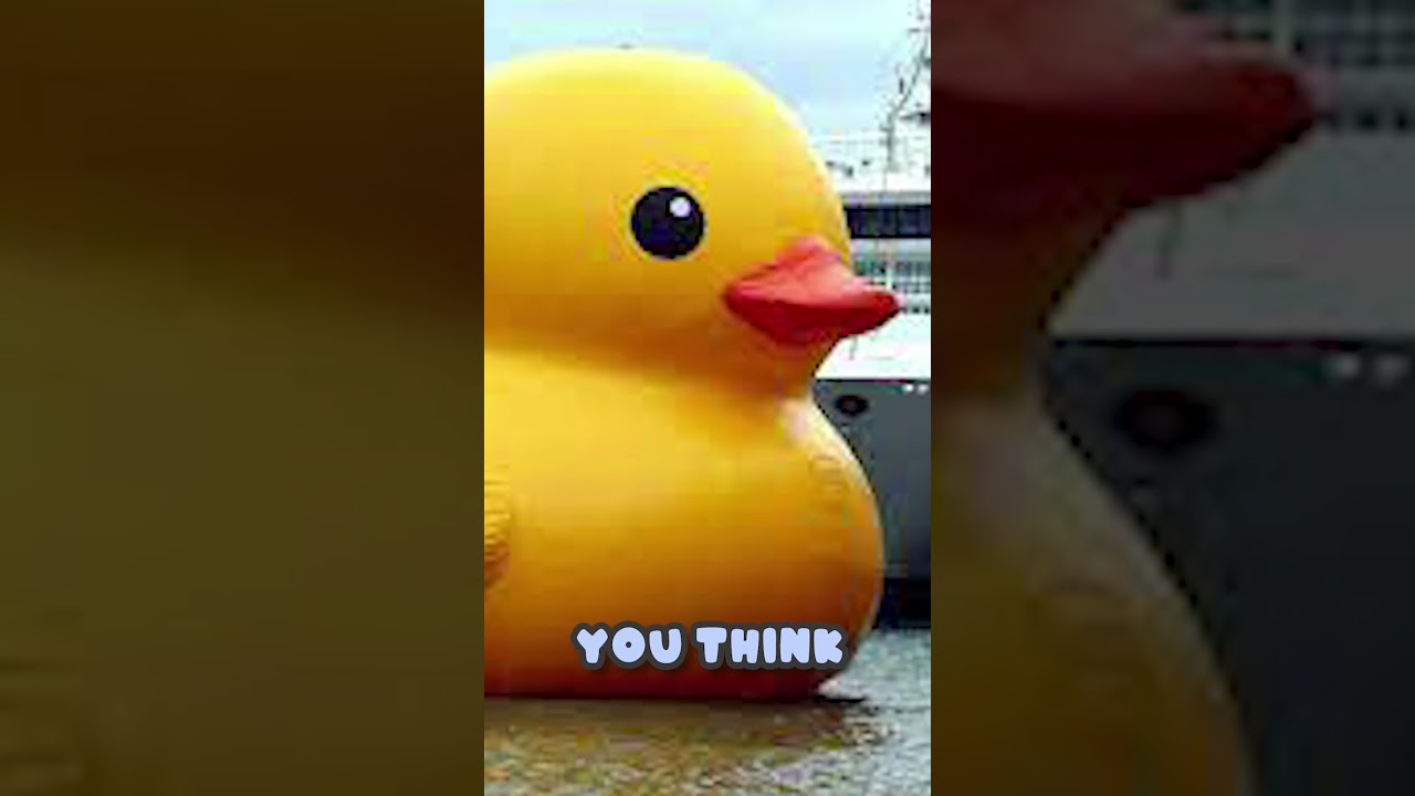 rubber ducky #shorts #bath