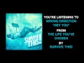 Survive This! - Wrong Direction 'Hey You' (Full Album Stream)
