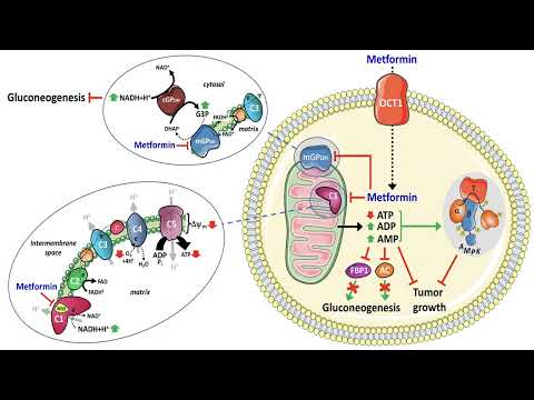 Video: Er insulin icodec fda godkjent?