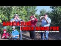 Agriculture under hamas fire  dr dominiquae bierman