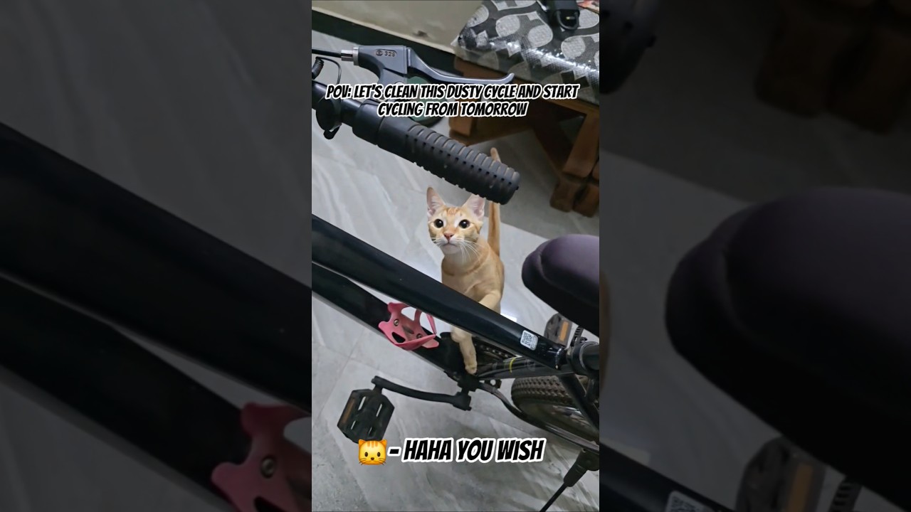 Healthy lifestyle? Not today. 