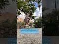 Отправь подруге, с которой вы все никак не начнете заниматься вместе 💙