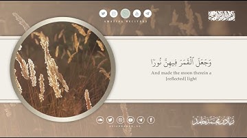 سورة نوح كاملة | زياد محمد حامد