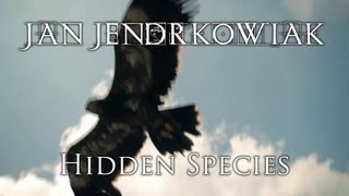 Free Music 05 - Hidden Species by dreambird 10,620 views 11 years ago 1 minute, 22 seconds