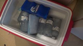 Regular Coleman Cooler 7 Day Ice Test made in the USA 2003 2017