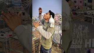 Tiger Na Baj Ko Maar Diya