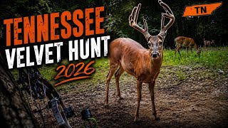 Tennessee Velvet Hunt 2026 Bees Bucks Heat and coyotes Season 7 Episode