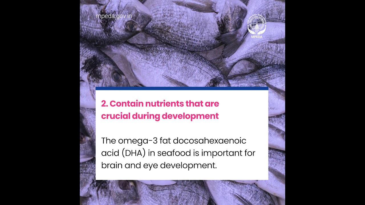The Importance of Consuming Seafood | MPEDA