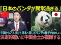 【衝撃】「日本だけパンダが笑顔なんだけど」中国からアメリカと日本へ貸したパンダの決定的違いに中国全土が震撼する【海外の反応】