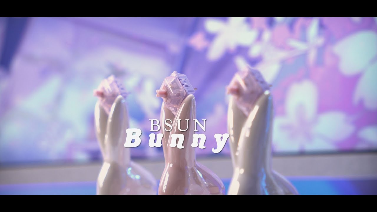 BSUN Bunny Switches | Are You Ready For Cuteness? - YouTube