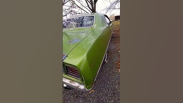 Ooooh, Barracuda! #car #cars #carshow #vintage #shorts #shortsvideo