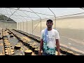 Greenhouse Farming &amp; Agribusiness in Nigeria: Everything You Need to Know