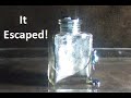 Gallium Vs Glass