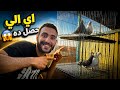احداث غريبه عند الحمام اي الي بيحصل ده 