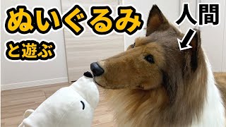 realistic dog costume】I became a rough collie and played with