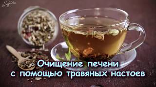 ОЧИЩЕНИЕ ПЕЧЕНИ С ПОМОЩЬЮ ТРАВЯНЫХ НАСТОЕВ ОЧИЩЕНИЕ ПЕЧЕНИ С ПОМОЩЬЮ ТРАВЯНЫХ НАСТОЕВ