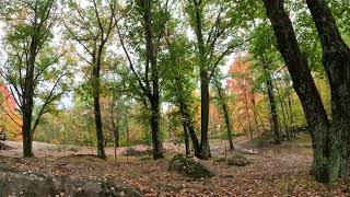 Basesquatch Defeats Rock, Badsquatch Fails Tigerton 92323