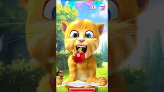 talking ginger gameplay 🤣 funny cat video 🐈 #talkingtomversion #cat #talkingtom