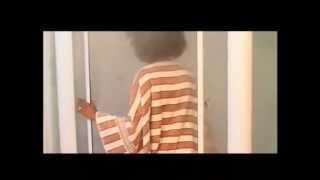 New Ethiopian Music By Werkeneh Zerhune  Saleshgnsh -- 2012