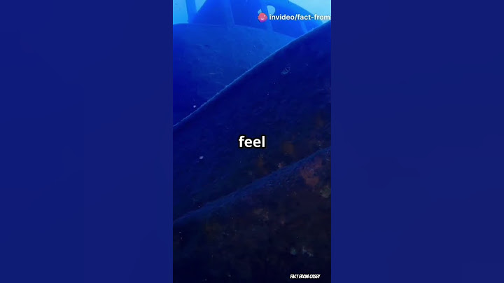 Discover 5 Amazing Deep Ocean Facts That Will Blow Your Mind! 🌊🦑