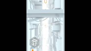 Jelly jump world record