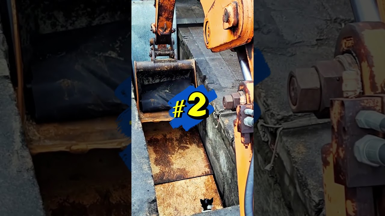 3 Crazy Clips Of The Week