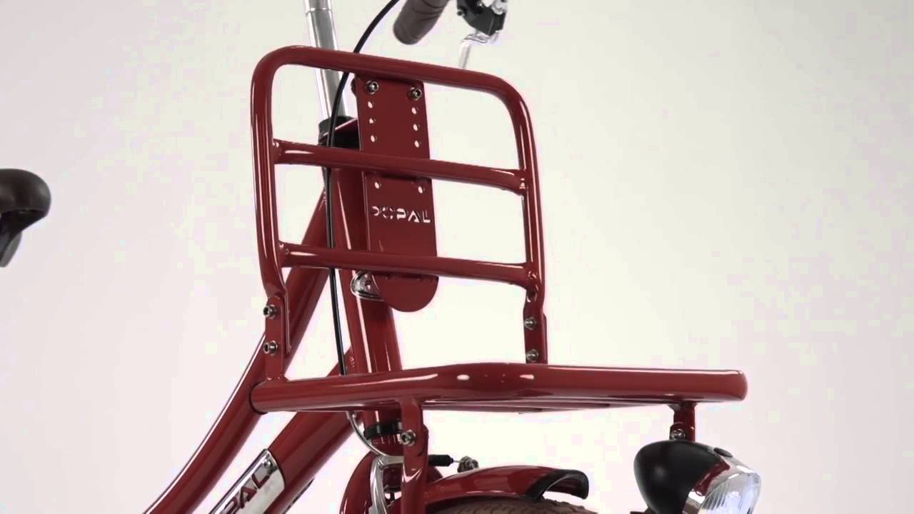 Popal Daily Dutch Basic Transportfiets 24 inch Rood