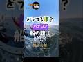 船の腹に入ったラインどうする？#走水バチコン 橋詰大輔さんに教えてもらいます．#howto #東京湾釣り#ダイワ #月下美人 #東京湾バチコン#shorts #tips