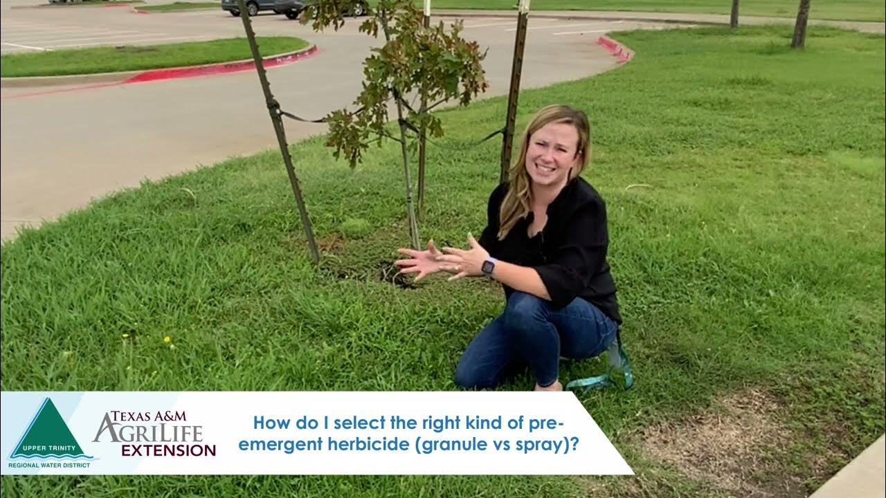 How to Use Preemergent Herbicides Properly in North Texas YouTube