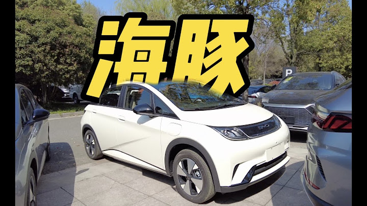 新八评 2023款420km海豚时尚版：非常详尽的更新点分析 - 天天要闻