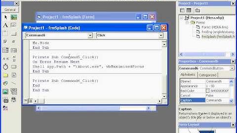 XtraProject 07 Exit Button visual basic