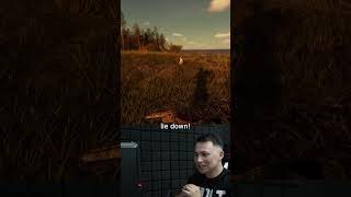 BULT - The dog's response to its owner's voice