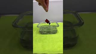 El Secreto Para Sacar Un Emblema De Un Auto En Minutos