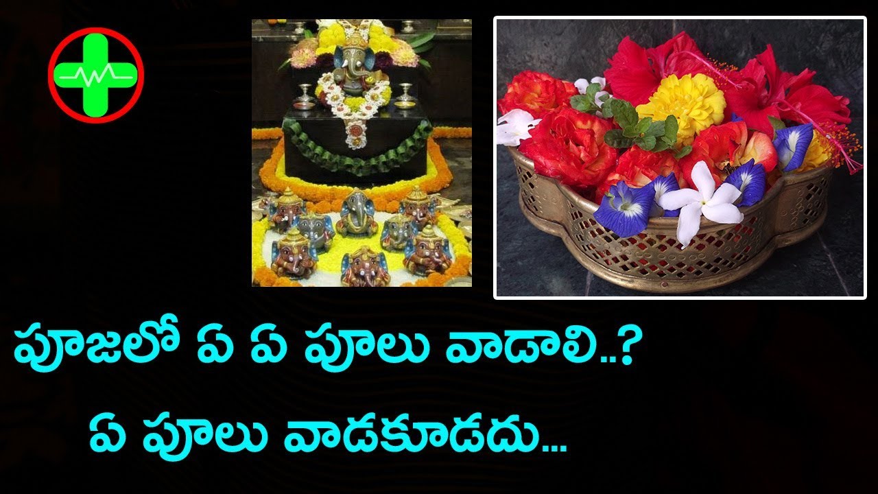 Favourite Flowers of Hindu Gods | Pooja Flowers | Hindu Traditions | Aarogyam Aishwaryam