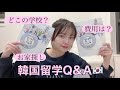 【Q&A】KR)韓国留学について通っていた学校、費用まで全部答えます🇰🇷한국유학 Q&A
