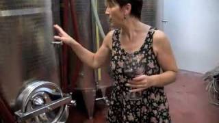 Rumbleseat Wine - Renato Corino Winery - La Morra, Italy - Part 1