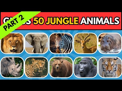 Animal Quiz |