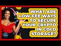 What Are Low-fee Ways To Secure Your Crypto In Cold Storage? - Crypto Trading Strategists
