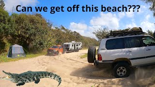 Bogged our Ranger and 22f caravan on Teewah Beach!! Rare CROC sighting!!!