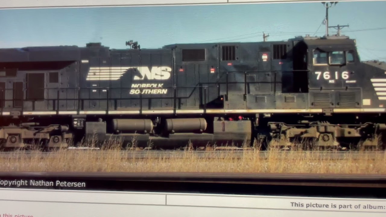 Ns 7616 and his horn is broken