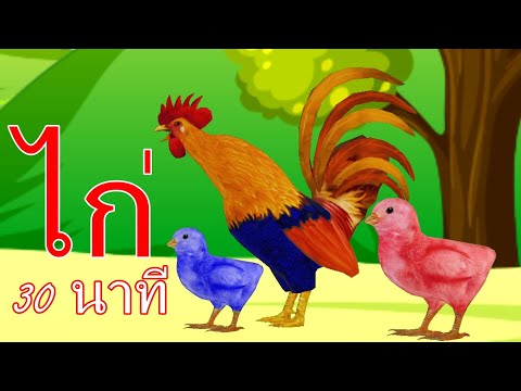 รวมเพลง ก ไก่ ทุกชนิด ก เอ๋ย ก ไก่ ไก่กุ๊กๆไก่ ลูกไก่ 5 ตัว I เพลงเด็กยิ้ม